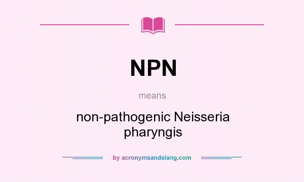 What does NPN mean? It stands for non-pathogenic Neisseria pharyngis