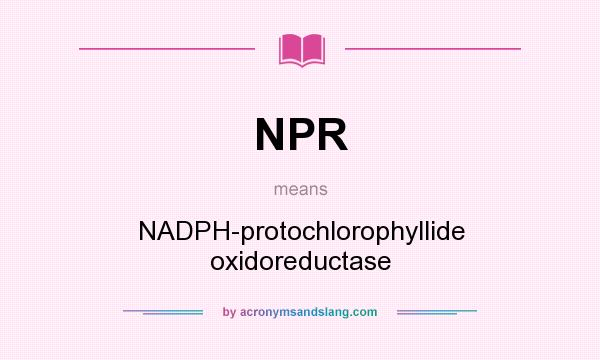 What does NPR mean? It stands for NADPH-protochlorophyllide oxidoreductase