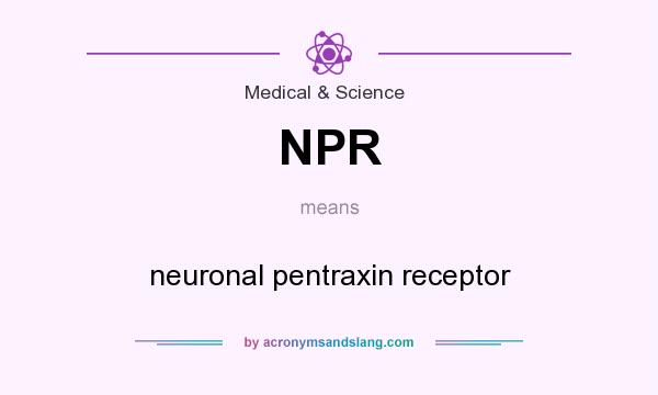 What does NPR mean? It stands for neuronal pentraxin receptor