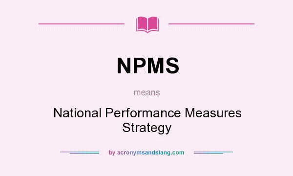 What does NPMS mean? It stands for National Performance Measures Strategy
