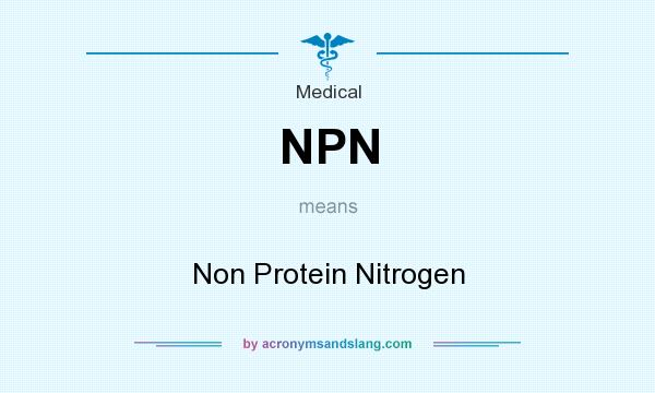 What does NPN mean? It stands for Non Protein Nitrogen