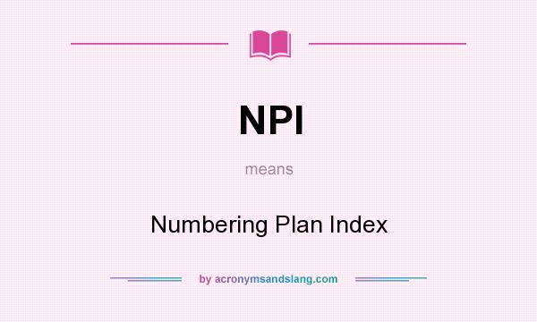 What does NPI mean? It stands for Numbering Plan Index