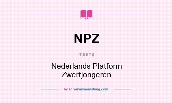 What does NPZ mean? It stands for Nederlands Platform Zwerfjongeren