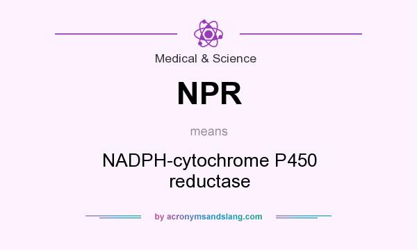 What does NPR mean? It stands for NADPH-cytochrome P450 reductase