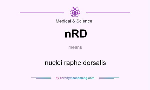What does nRD mean? It stands for nuclei raphe dorsalis