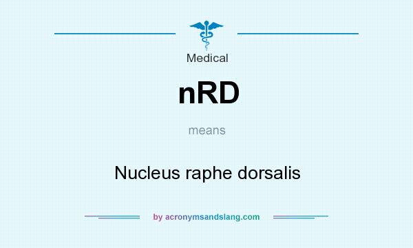 What does nRD mean? It stands for Nucleus raphe dorsalis