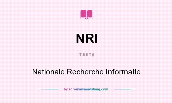 What does NRI mean? It stands for Nationale Recherche Informatie