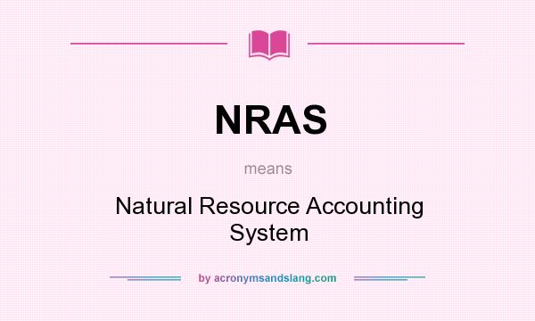 What does NRAS mean? It stands for Natural Resource Accounting System