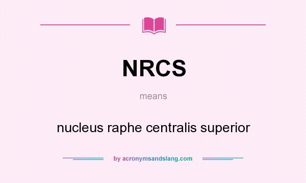 What does NRCS mean? It stands for nucleus raphe centralis superior