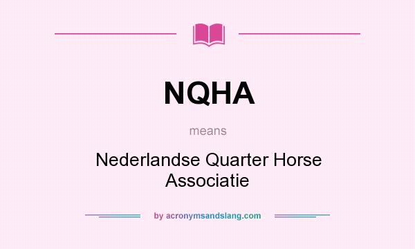 What does NQHA mean? It stands for Nederlandse Quarter Horse Associatie