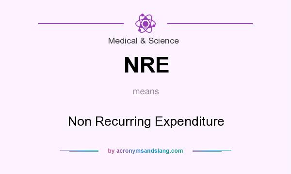 What does NRE mean? It stands for Non Recurring Expenditure