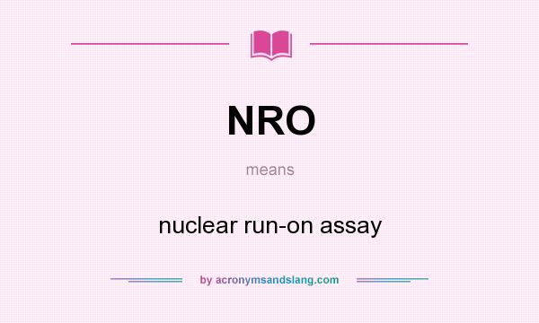What does NRO mean? It stands for nuclear run-on assay