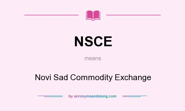 What does NSCE mean? It stands for Novi Sad Commodity Exchange