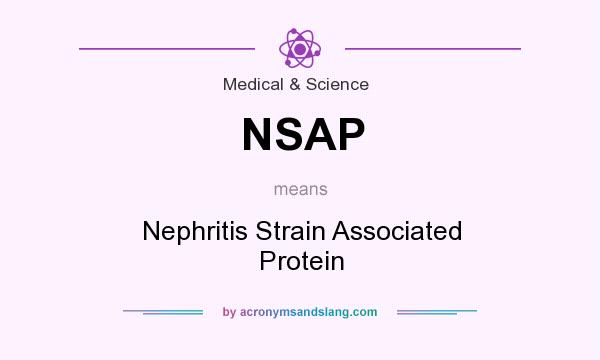 What does NSAP mean? It stands for Nephritis Strain Associated Protein