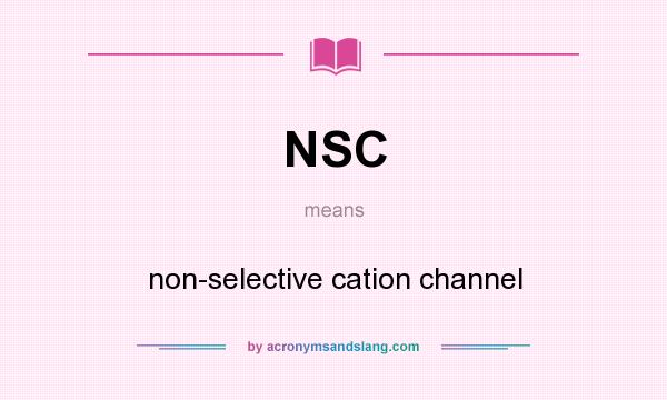 What does NSC mean? It stands for non-selective cation channel