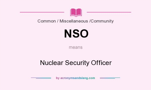 What does NSO mean? It stands for Nuclear Security Officer