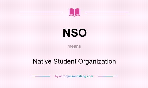 What does NSO mean? It stands for Native Student Organization