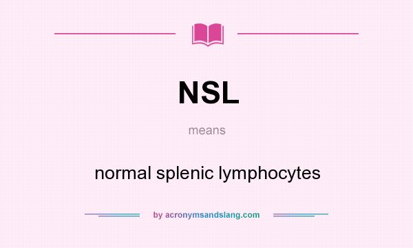 What does NSL mean? It stands for normal splenic lymphocytes