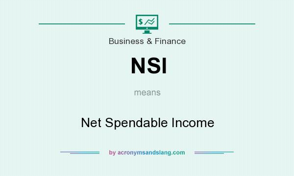 What does NSI mean? It stands for Net Spendable Income