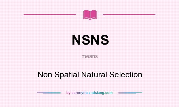 What does NSNS mean? It stands for Non Spatial Natural Selection