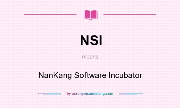 What does NSI mean? It stands for NanKang Software Incubator