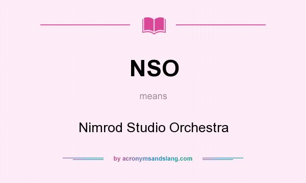 What does NSO mean? It stands for Nimrod Studio Orchestra