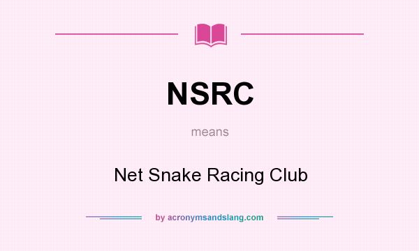 What does NSRC mean? It stands for Net Snake Racing Club