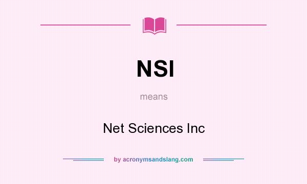 What does NSI mean? It stands for Net Sciences Inc