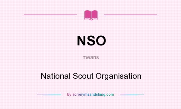What does NSO mean? It stands for National Scout Organisation