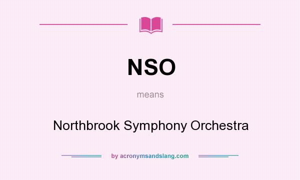 What does NSO mean? It stands for Northbrook Symphony Orchestra