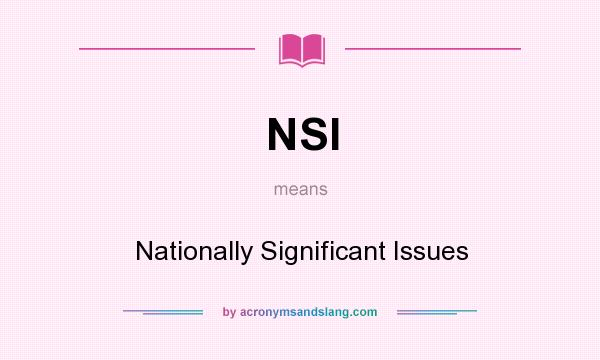 What does NSI mean? It stands for Nationally Significant Issues