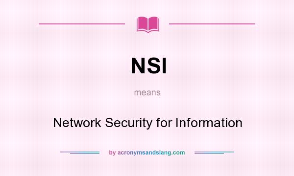 What does NSI mean? It stands for Network Security for Information