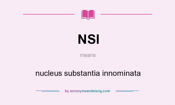 What does NSI mean? It stands for nucleus substantia innominata