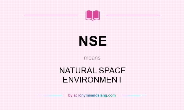 What does NSE mean? It stands for NATURAL SPACE ENVIRONMENT