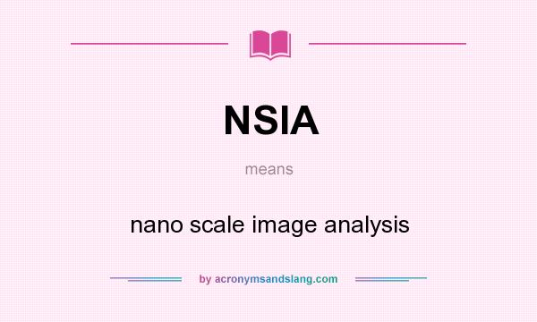 What does NSIA mean? It stands for nano scale image analysis