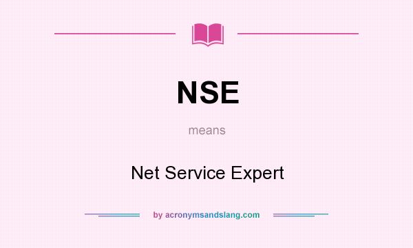 What does NSE mean? It stands for Net Service Expert