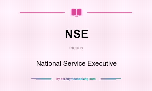 What does NSE mean? It stands for National Service Executive