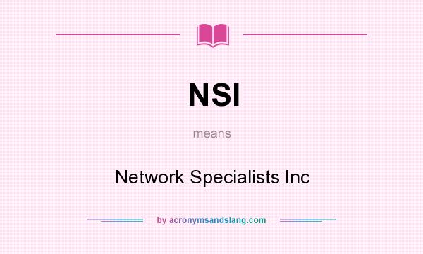 What does NSI mean? It stands for Network Specialists Inc