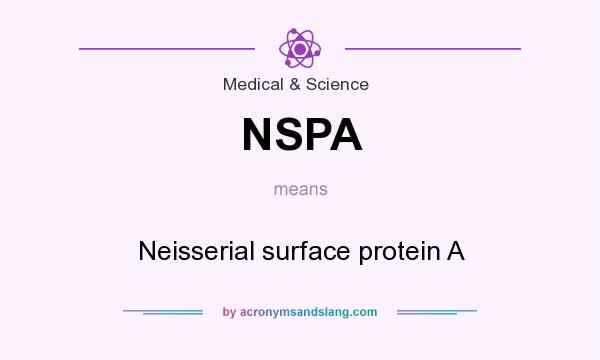 What does NSPA mean? It stands for Neisserial surface protein A