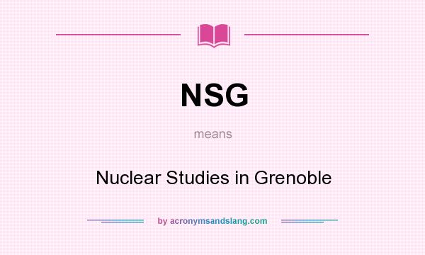 What does NSG mean? It stands for Nuclear Studies in Grenoble