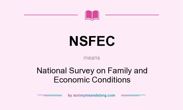 What does NSFEC mean? It stands for National Survey on Family and Economic Conditions