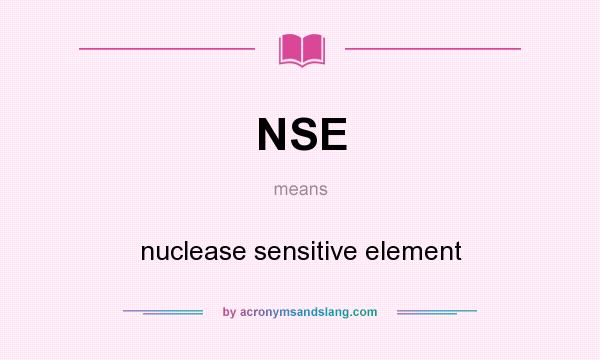 What does NSE mean? It stands for nuclease sensitive element
