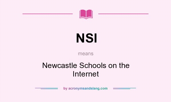 What does NSI mean? It stands for Newcastle Schools on the Internet