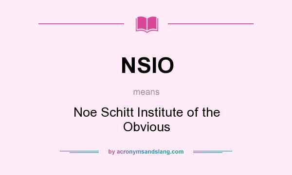 What does NSIO mean? It stands for Noe Schitt Institute of the Obvious
