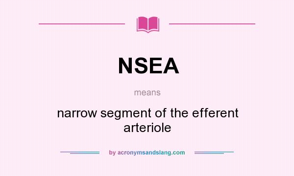 What does NSEA mean? It stands for narrow segment of the efferent arteriole