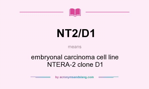 What does NT2/D1 mean? It stands for embryonal carcinoma cell line NTERA-2 clone D1