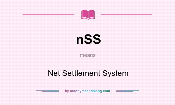 What does nSS mean? It stands for Net Settlement System