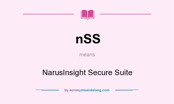 What does nSS mean? It stands for NarusInsight Secure Suite