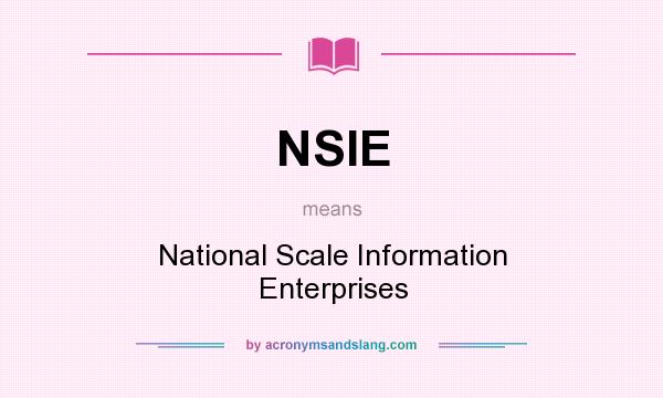 What does NSIE mean? It stands for National Scale Information Enterprises