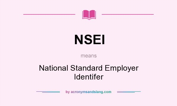 What does NSEI mean? It stands for National Standard Employer Identifer